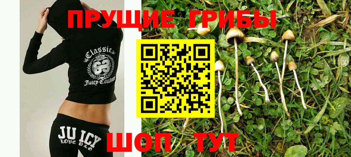 Псилоцибиновые грибы прущие грибы Балашов